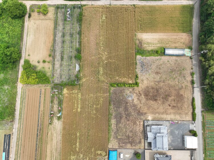 圃場2